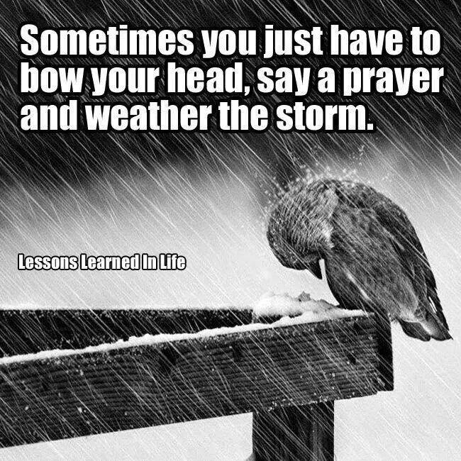 10398065_840974825931751_7789001488099370139_n