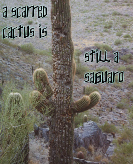 1CACTUS