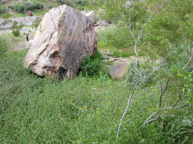 Trauma rarely just one big event.