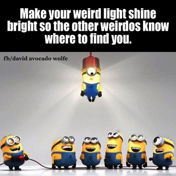 12472680_1097046423659621_4855349931583283803_n